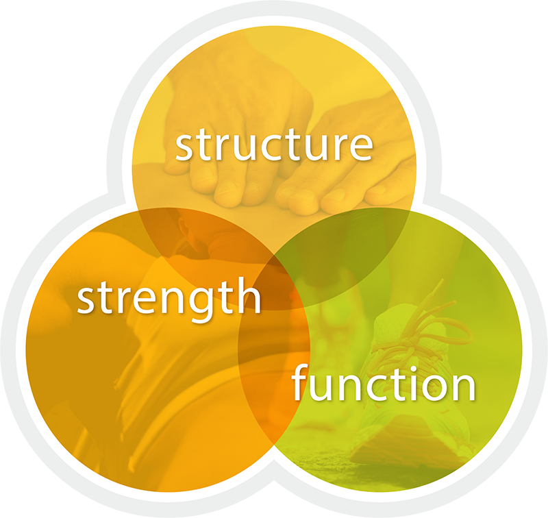 structure-strength-function-icon